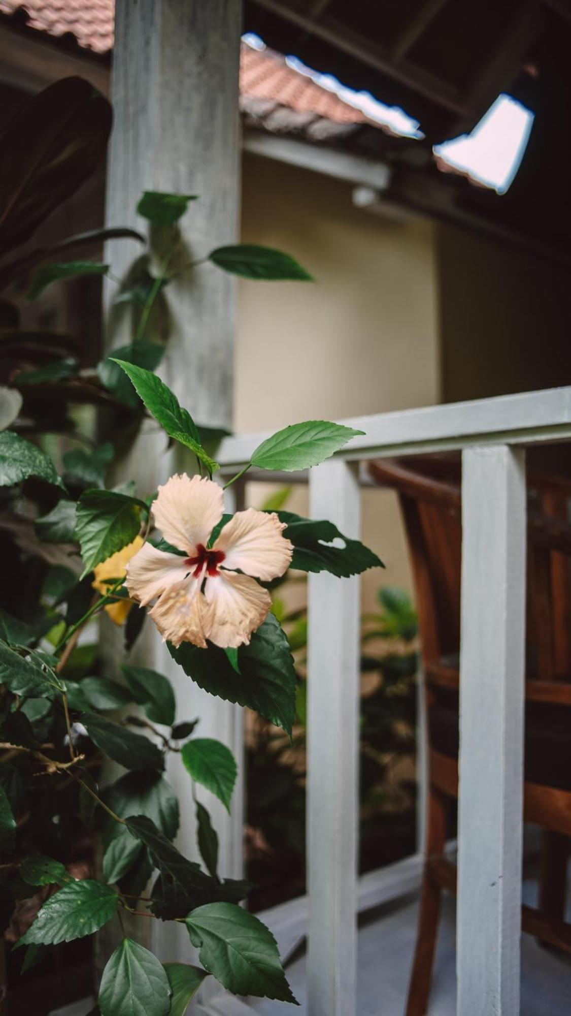 The Lucky Cottage Lembongan Exterior foto